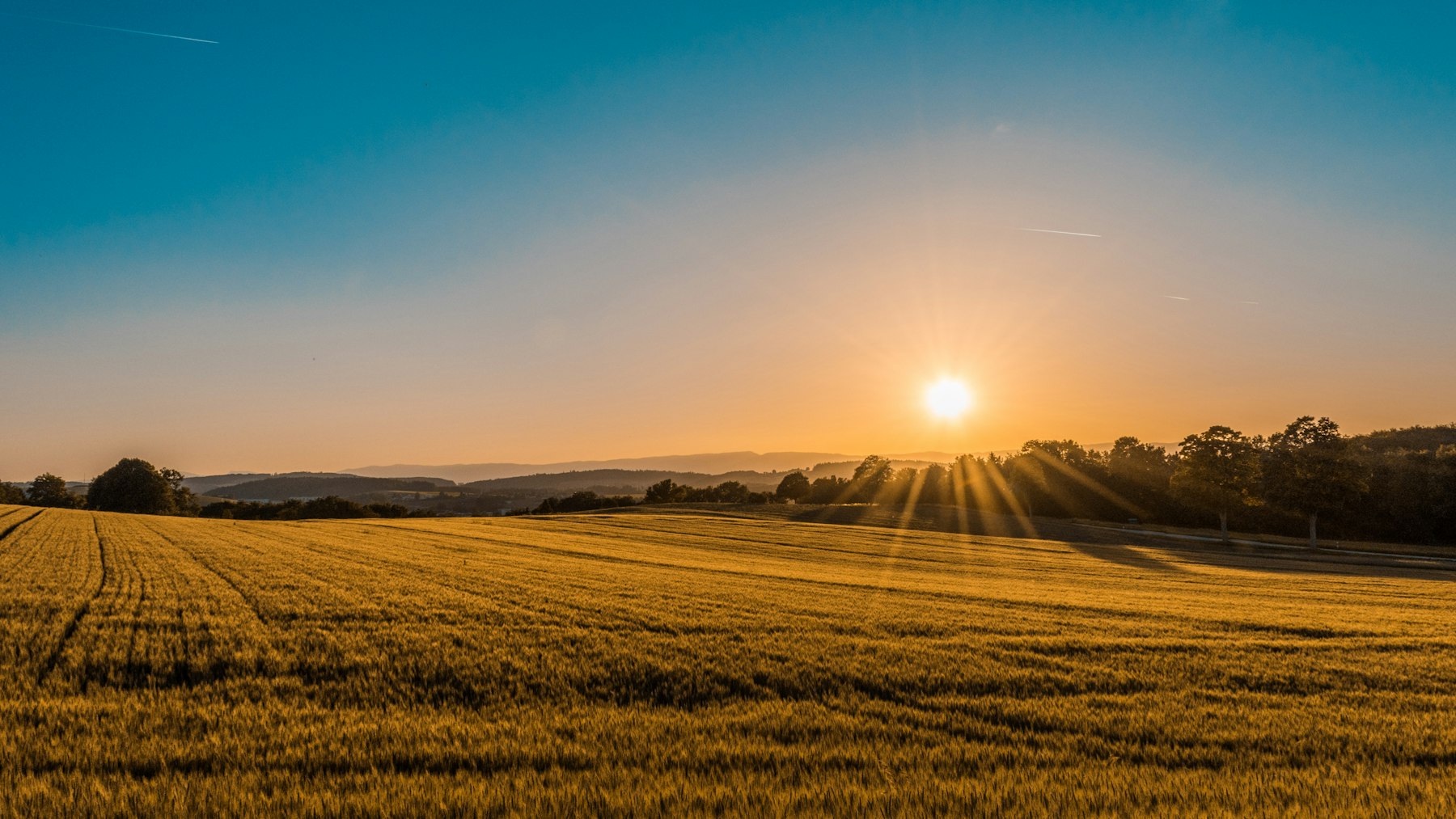 Agrarnahe Fläche im offenen Land